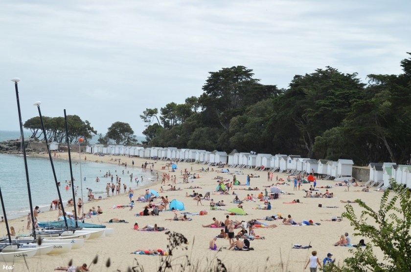 190729_bois_de_la_chaise_1