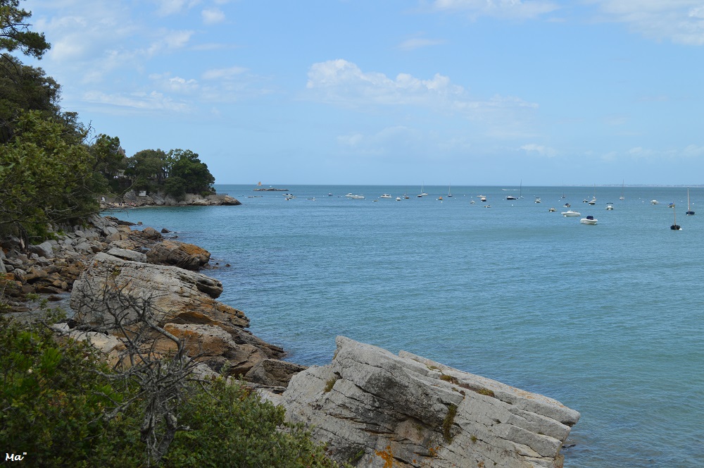 190729_bois_de_la_chaise_2