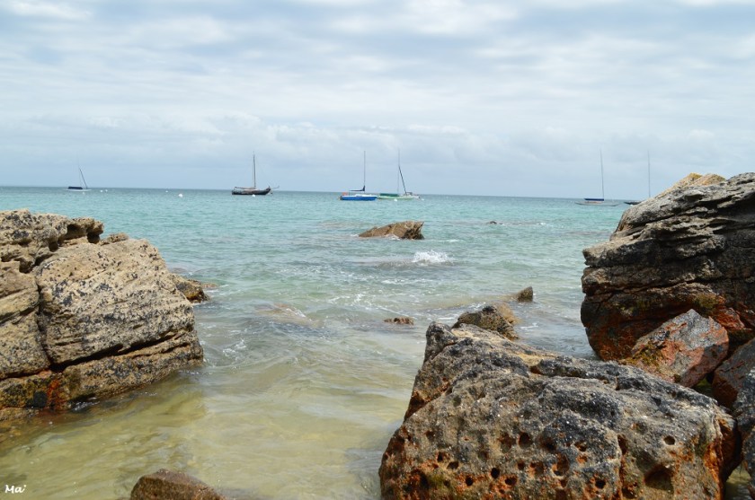 190729_bois_de_la_chaise_3