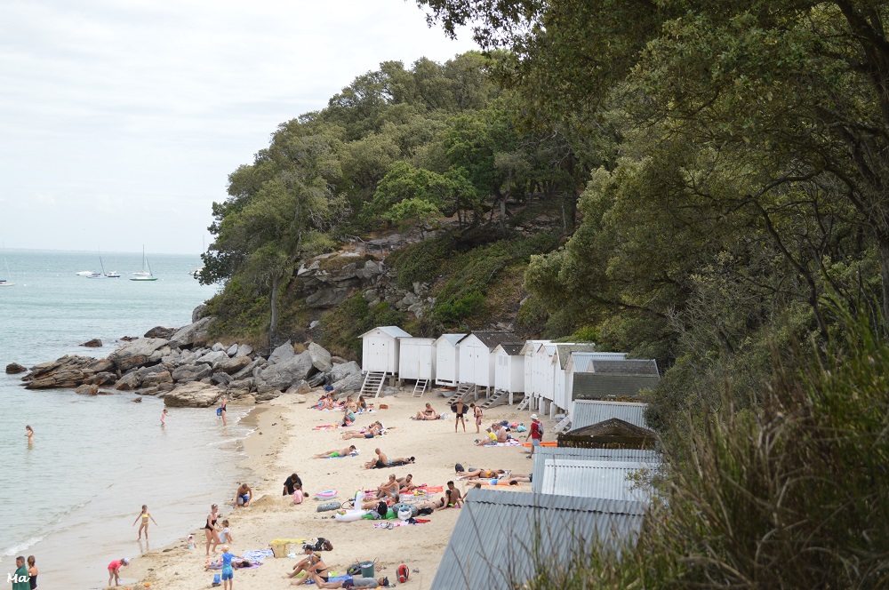 190729_bois_de_la_chaise_5