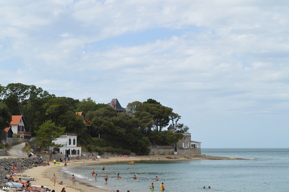 190729_bois_de_la_chaise_6