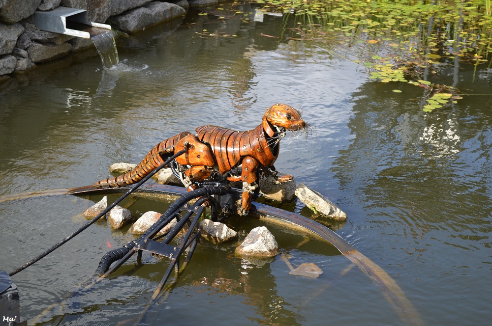 190730_animaux_place_1