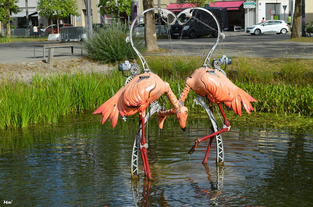 190730_animaux_place_2