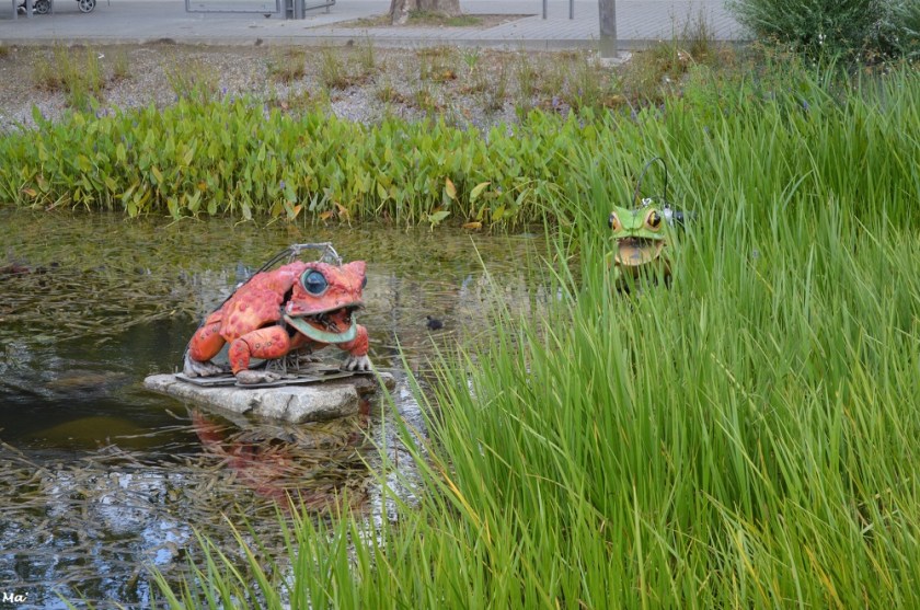 190730_animaux_place_4