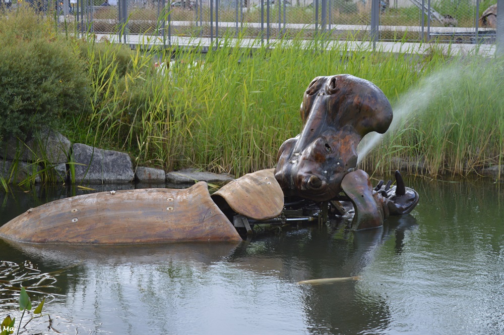 190730_animaux_place_5