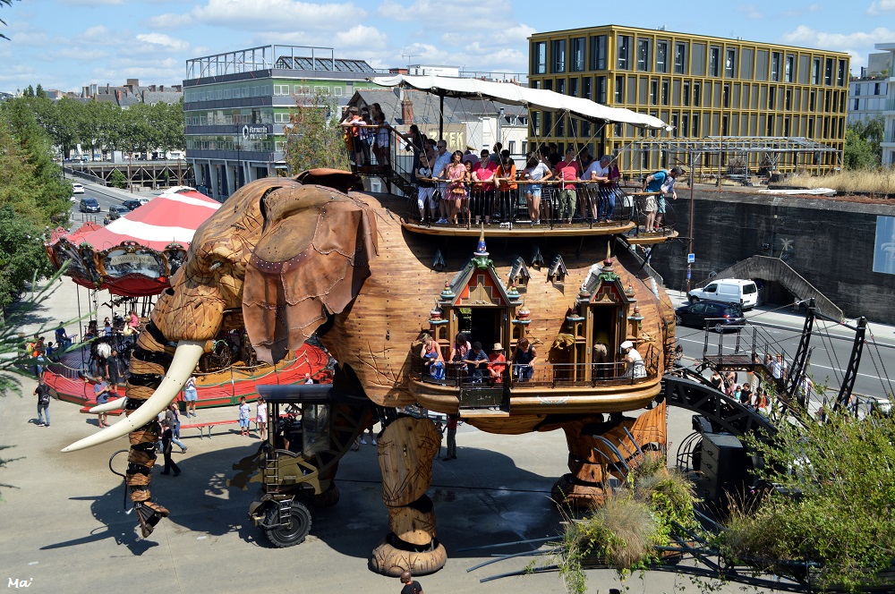 190802_Ntes_elephant_2