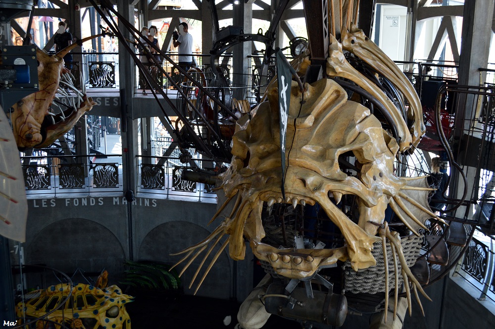 190802_Ntes_mondes_marins_1