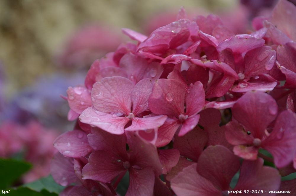 52-2019_S35_vacances