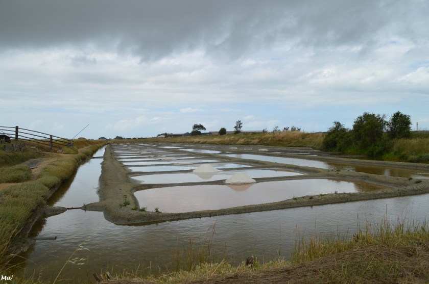 190729_marais_salant_4