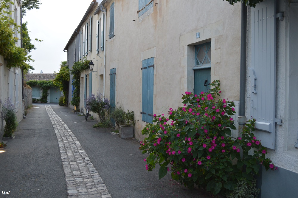 190729_noirmoutier_ville_2