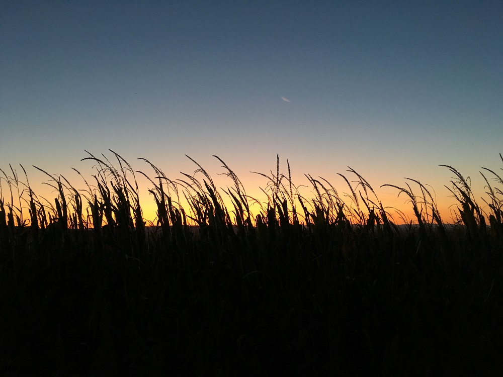 190904_coucher_soleil_Montelier