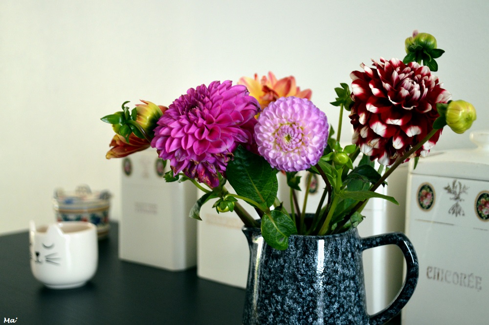 191006_bouquet_dahlias
