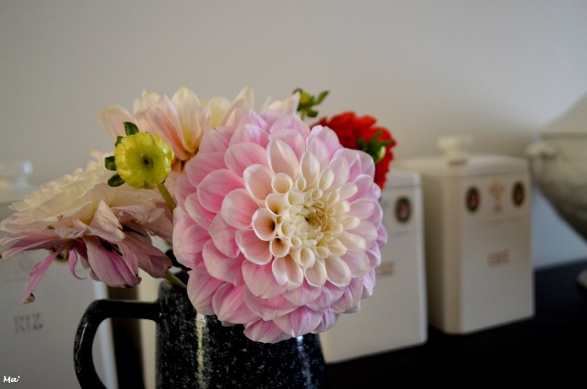 191013_bouquet_dahlias