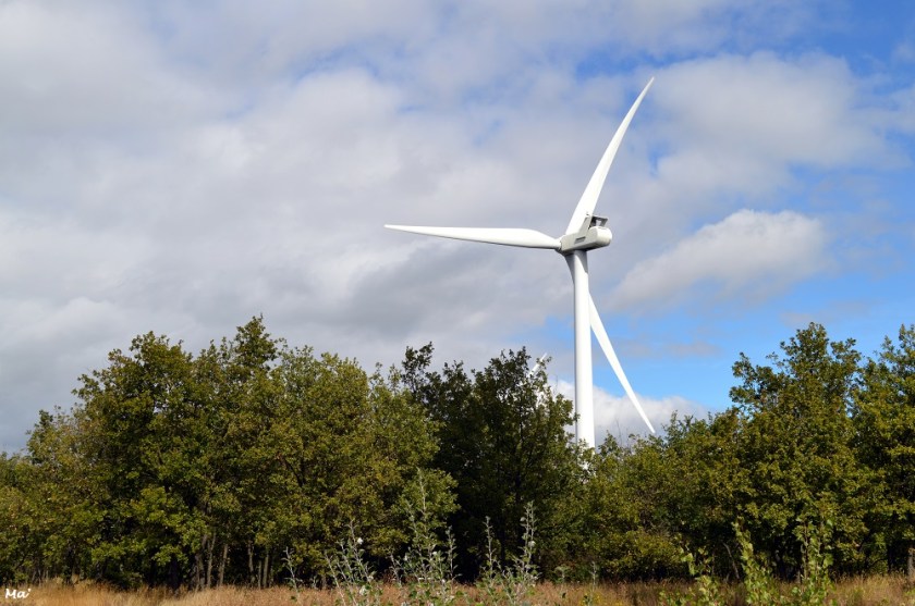 191005_PArc_Eolien_Marsanne_2