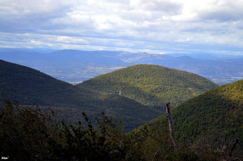 191005_PArc_Eolien_Marsanne_3