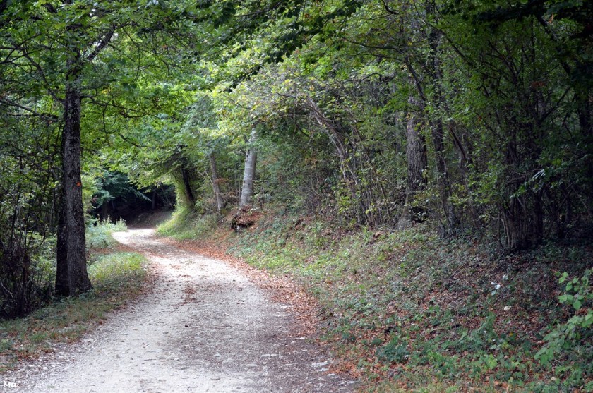 191005_PArc_Eolien_Marsanne_4