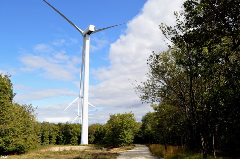 191005_PArc_Eolien_Marsanne_5