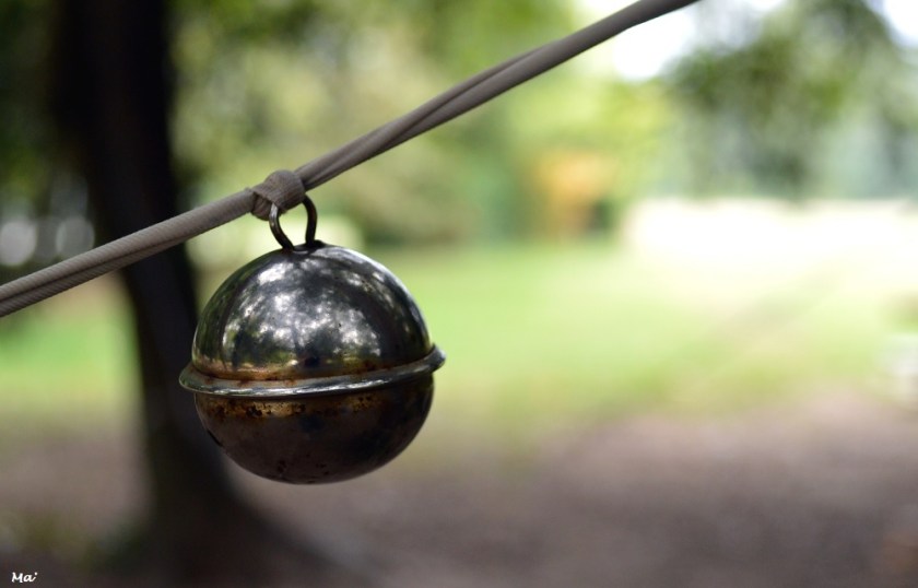 191012_parc_Lorient_2