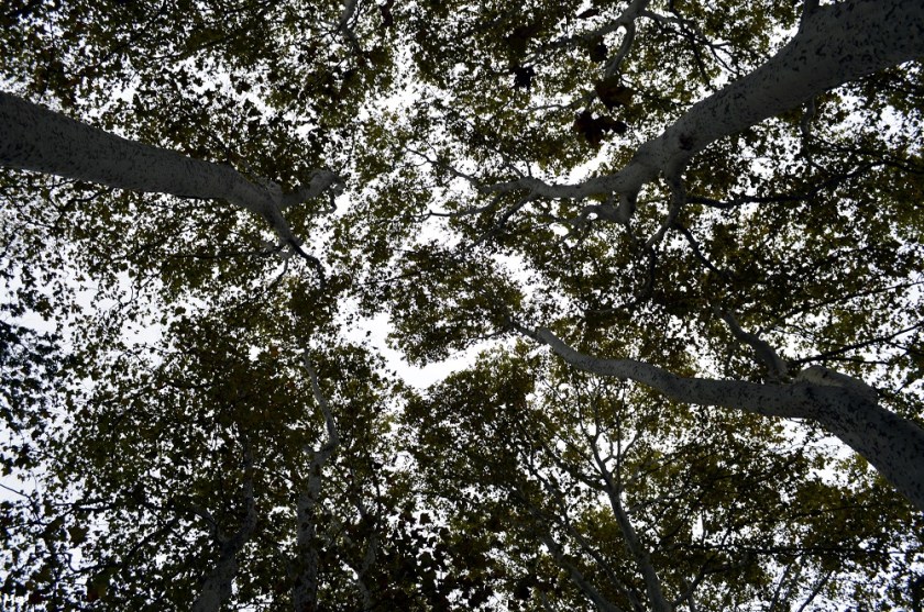 191012_parc_Lorient_4