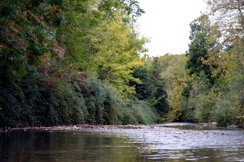 191012_parc_Lorient_9