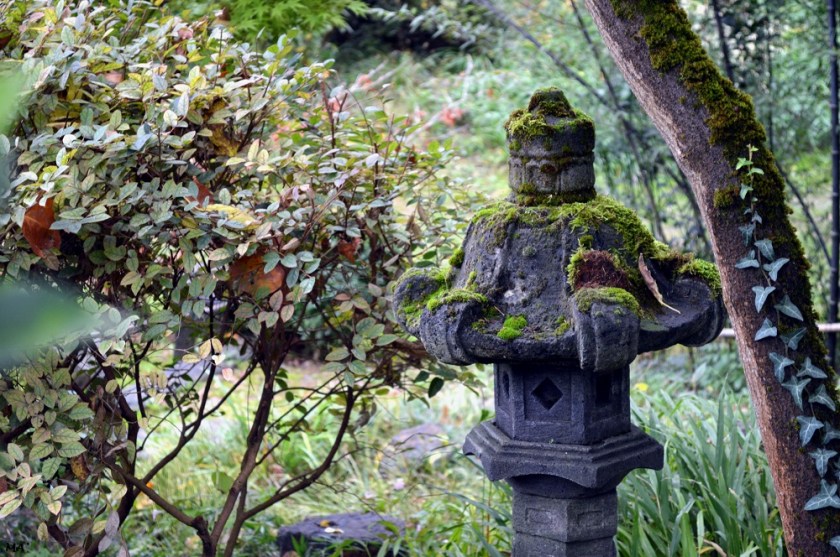 191102_jardin_zen_erik_borja_10