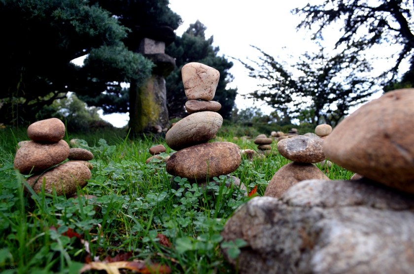 191102_jardin_zen_erik_borja_2