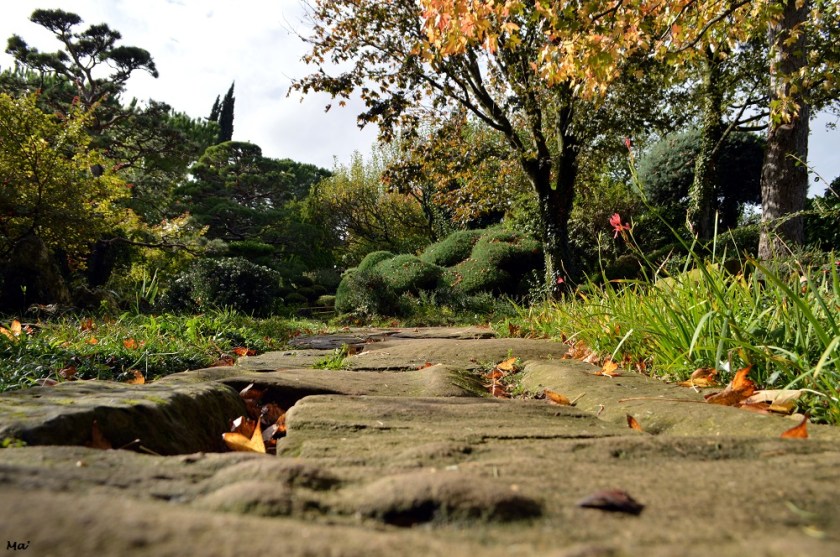 191102_jardin_zen_erik_borja_3