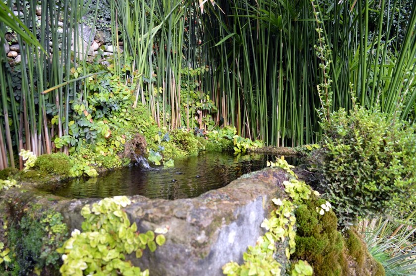 191102_jardin_zen_erik_borja_4