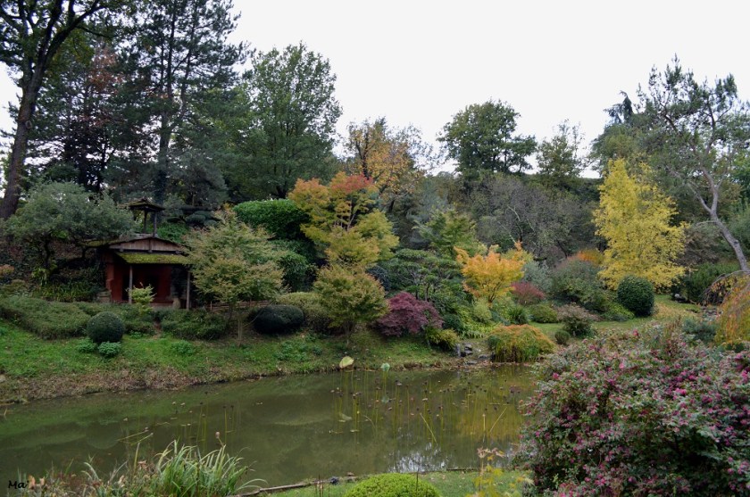 191102_jardin_zen_erik_borja_8