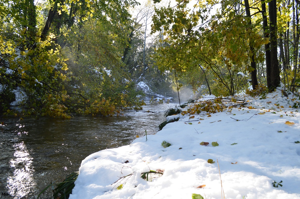 191116_rives_Veore_2