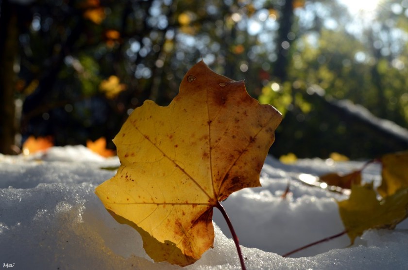 191116_rives_Veore_4