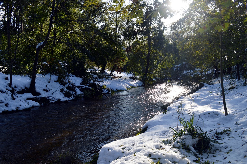 191116_rives_Veore_6