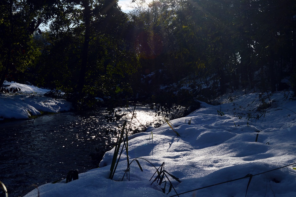 191116_rives_Veore_7