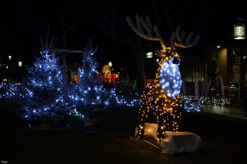 191209_noel_a_romans_2