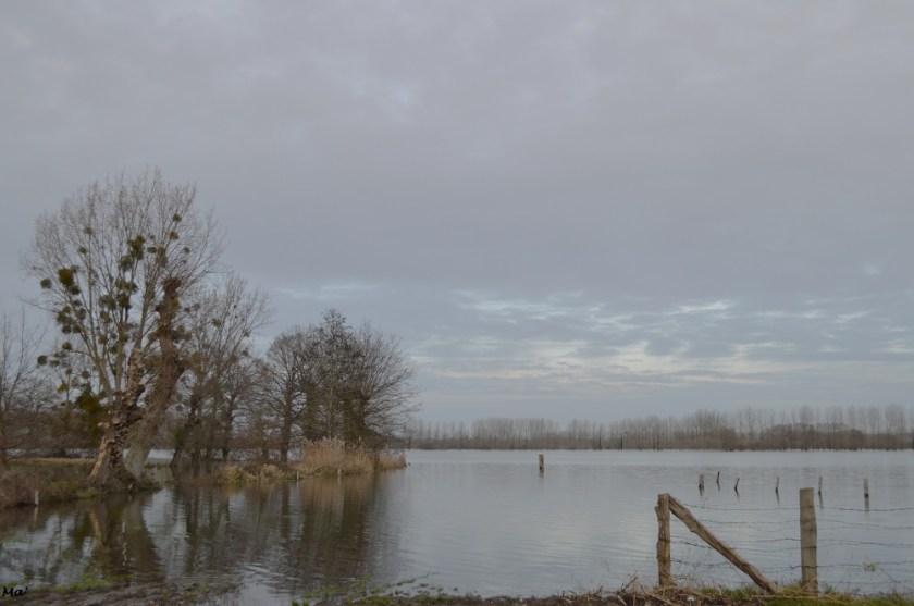 191223_Marais_Sougeal_1