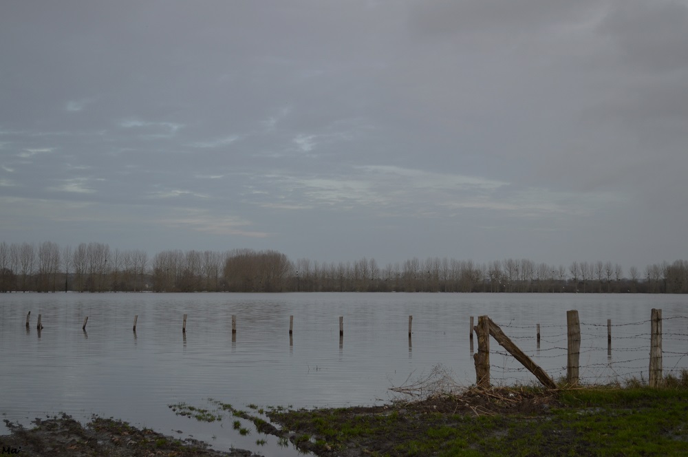 191223_Marais_Sougeal_2