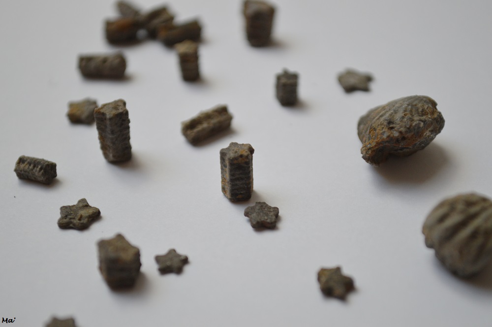 200118_recolte_pont_aux_etoiles_rompon