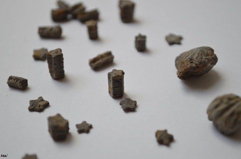 200118_recolte_pont_aux_etoiles_rompon