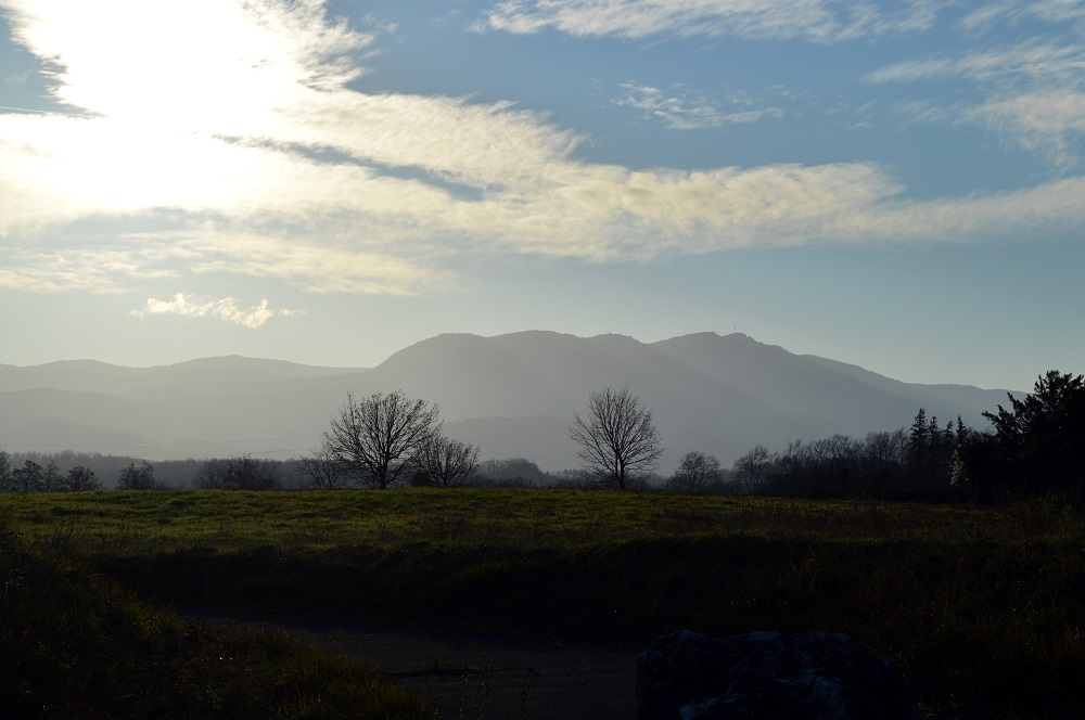 200105_sentier_2_renards_1