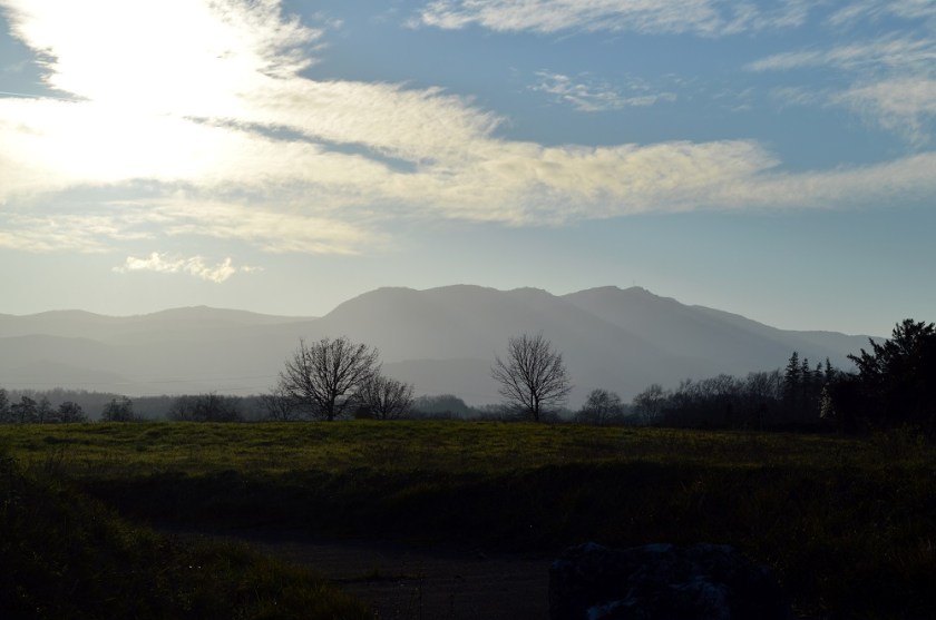 200105_sentier_2_renards_1