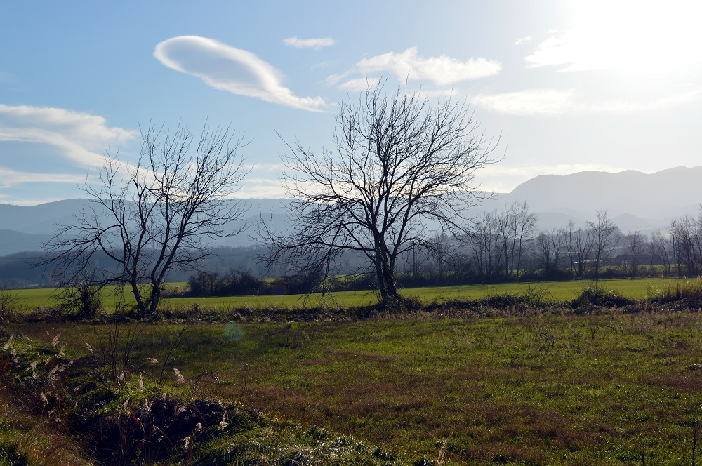 200105_sentier_2_renards_4