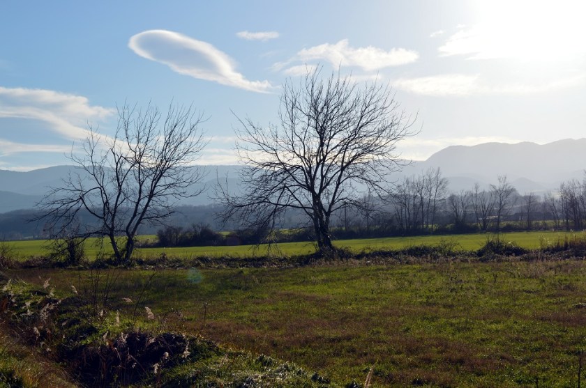 200105_sentier_2_renards_4