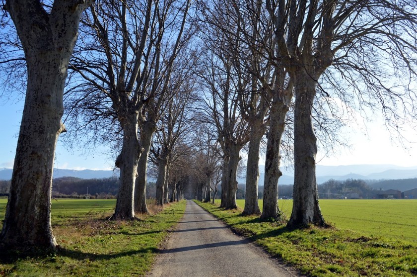 200105_sentier_2_renards_5