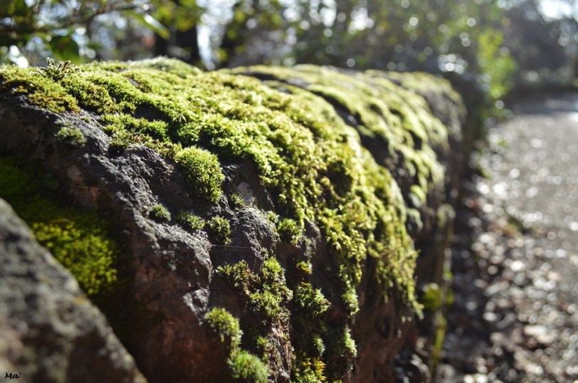 200118_st_georges_les_bains_1