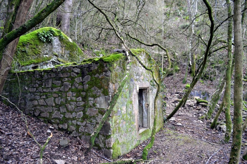 200118_st_georges_les_bains_6