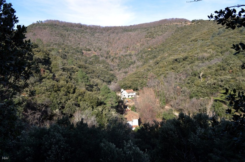 200118_st_georges_les_bains_7