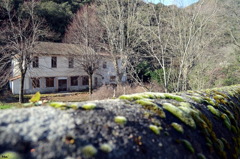 200118_st_georges_les_bains_8