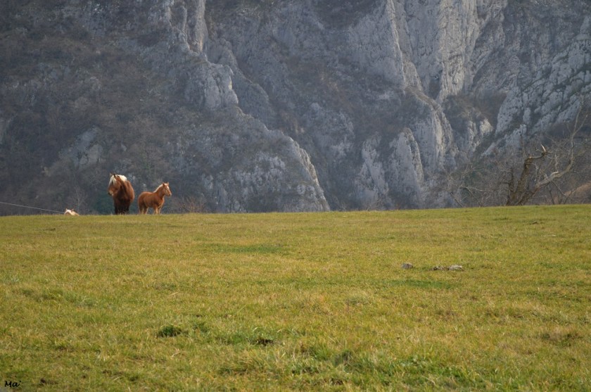 200141_combe_oyans_12