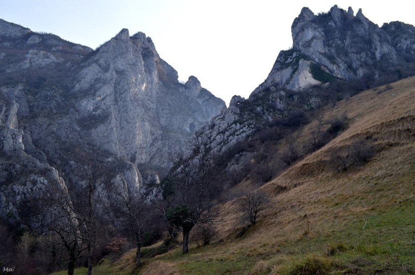 200141_combe_oyans_3