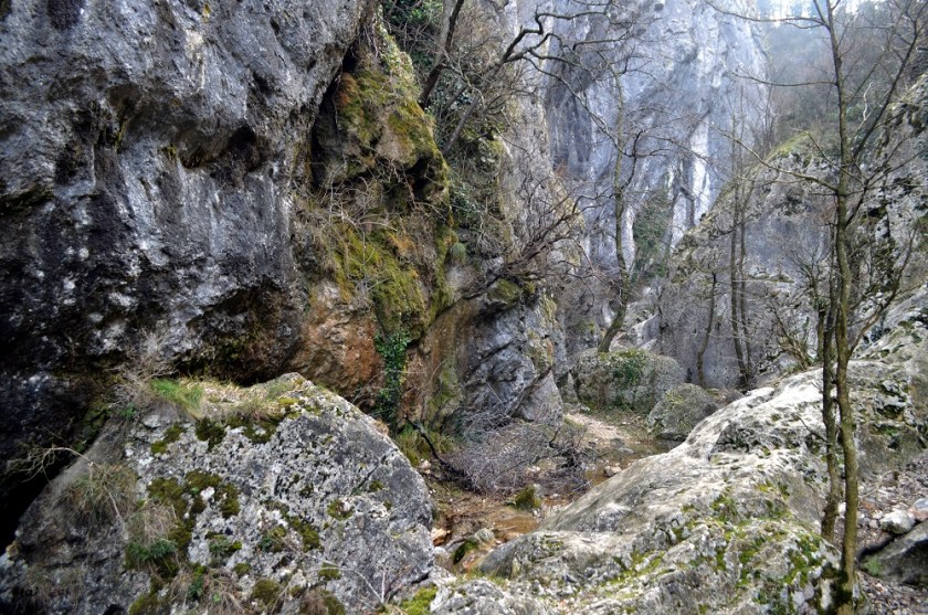 200141_combe_oyans_6